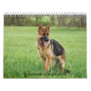 Search for german shepherd calendars Pets