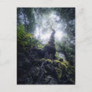 Recherche de canaries cartes postales Nature
