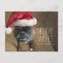 Recherche de boxer christmas vœux cartes Chapeau santa