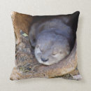Search for otter pillows Wild animals