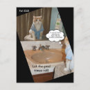 Search for funny friends postcards Cat