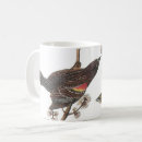 Recherche de petit oiseau rouge tasses Oiseaux