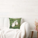 Search for white duck pillows Ducks