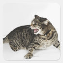 Search for hissing stickers Animals