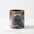 Search for english bulldog mugs Animals