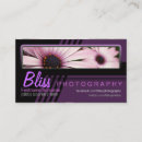 Recherche de affaires de photographie Rose