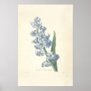 Recherche de jacinthes art Fleurs