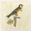 Search for bird coasters Animal