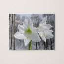 Recherche de amaryllis puzzles Nature