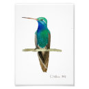 Recherche de ornithologie posters Peinture