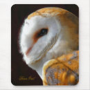 Search for barn owl electronics Birds
