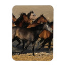 Search for arabs magnets Desert
