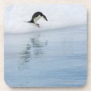 Recherche de pingouin dessous de verres Jour