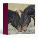Recherche de étalon bureau fournitures Chevaux sauvages