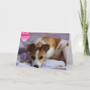 Search for jack russell terrier valentines day cards Heart
