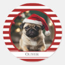 Search for candy cane stripe stickers Red