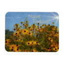 Recherche de susans magnets Fleurs