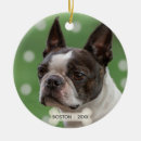 Search for boston terrier holiday christmas decor Cute