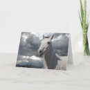 Search for break up cards Support