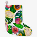 Recherche de dragon christmas stockings Fruit du dragon