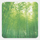 Search for bamboo forest stickers Japan