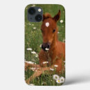 Search for arabian horses electronics Pony