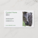 Recherche de zebre cartes visite Animaux