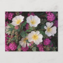 Search for desert flowers postcards Foliage