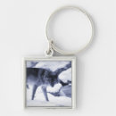 Search for confrontation keychains Cold temperature