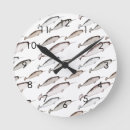 Search for whale clocks Illustration