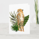 Search for cheetah with cards Big cat