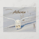 Recherche de migration posters Migrer