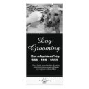 Search for pooch rack cards Pet