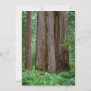 Search for ancient thank you cards California