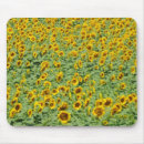 Search for crops mousepads Photography