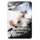 Recherche de accrocher magnets Drôle