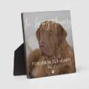 Search for pet supplies Sympathy quote