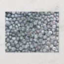 Recherche de myrtille cartes postales Bleuets