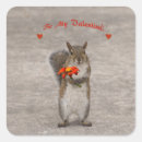 Search for squirrel valentine stickers Funny