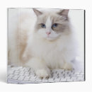 Search for cat binders Nature