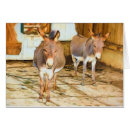 Recherche de hee Mule