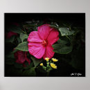 Search for hibiscus art Wall