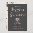 Search for pink grey quinceanera invitations Birthday