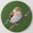 Recherche de le chardonneret badges Faune