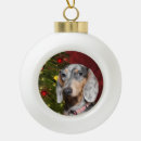 Recherche de hot dog ornements Chien