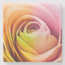 Search for affection coasters Background