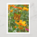 Recherche de papillon fritillaire cartes postales Insecte