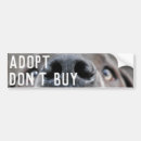 Search for great dane bumper stickers Dogue allemand