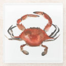 Search for crab coasters Watercolor