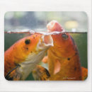 Recherche de carpe koi tapis souris Horizontal